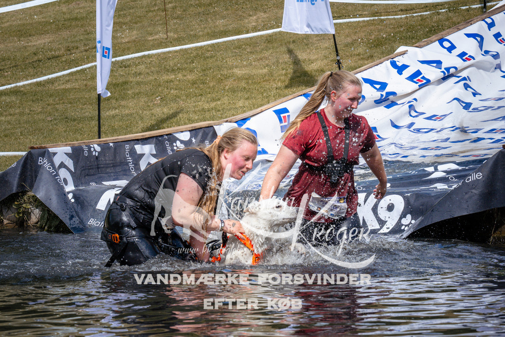 _ZZ940720950 | kk-dogfotos