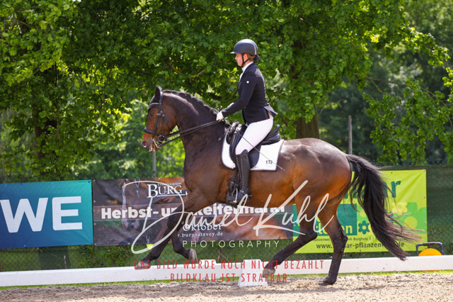 DKP41014 | Turnierfotos kaufen im Webshop von Daniel Kuhl Photography – entdecke professionelle Reitsportfotos aus Turnieren & Events. Hochwertige Turnierbilder online bestellen & sichern. Jetzt Fotos von Reitsportturnieren kaufen!