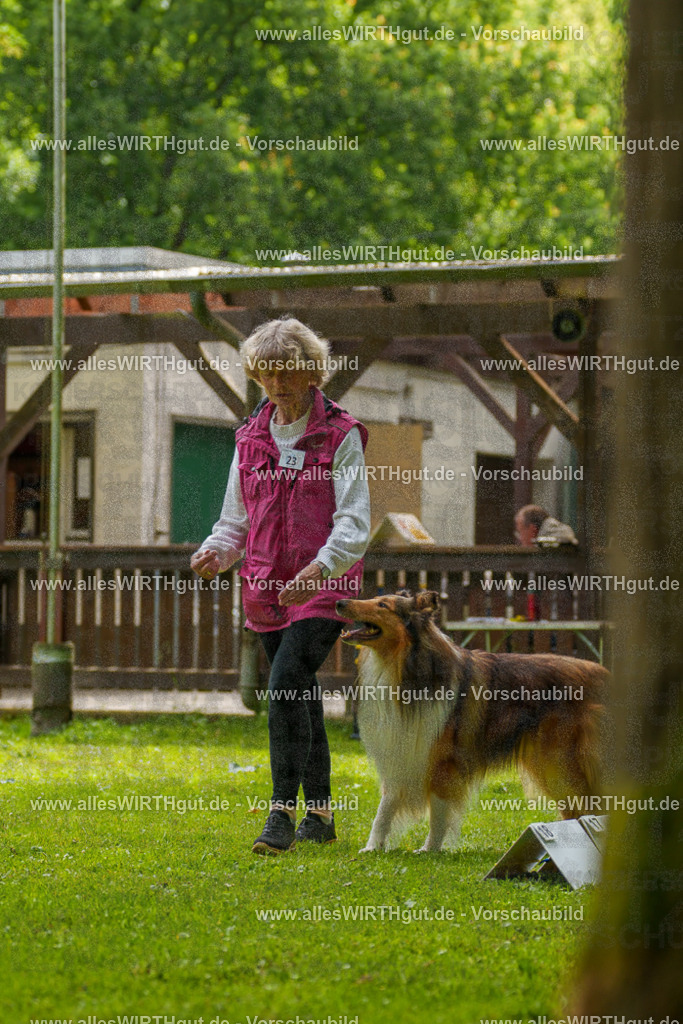 @allesWIRTHgut_Tierfotografie - www.allesWIRTHgut.de - 095219-7R507774 | Professionelle Tierfotografie in Mönchengladbach von Daniel Wirth (allesWIRTHgut). Liebevolle & natürliche Bilder von Hunden & Katzen für unvergessliche Erinnerungen.