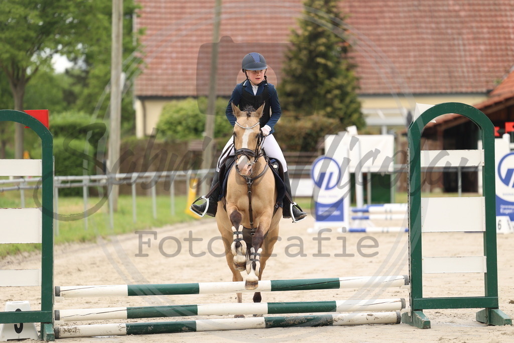 994A8306 | sabrinanicolaifotografie - Realisiert mit Pictrs.com