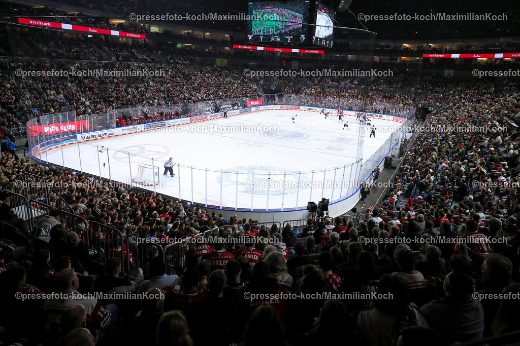 KoeDEL14032402081 | 14.03.2024, Köln, Eishockey, Penny DEL, Pre-Playoffs Spieltag 3, Lanxess-Arena, Kölner Haie - ERC Ingolstadt: Feature Innenansicht Spielstätte Übersichtsbild Eisfläche Eishockeyspielfeld Zuschauer Besucher Fans