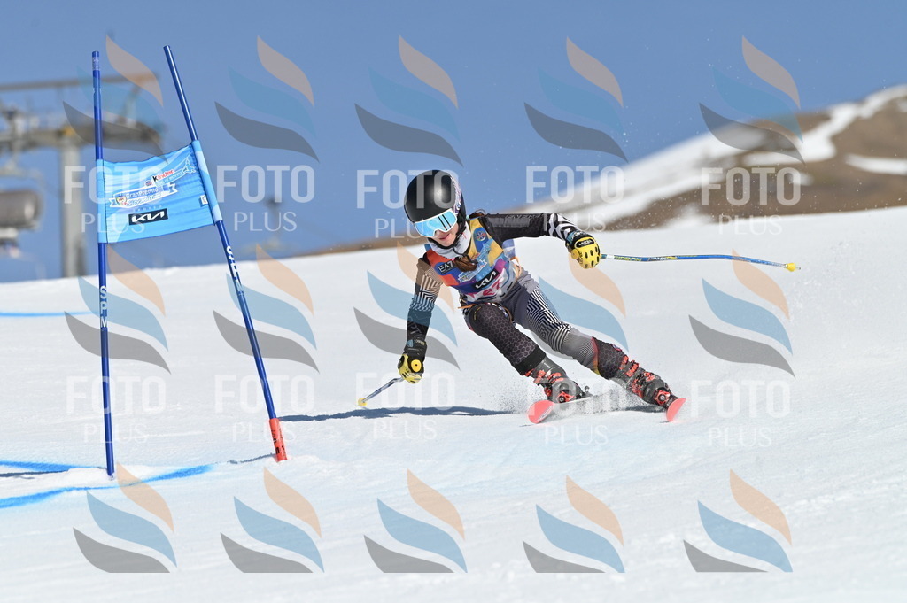 BGV_8096 | holidayphoto