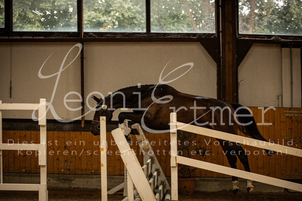 1FS_L00001 | Leoni Ertmer Photography - Realisiert mit Pictrs.com