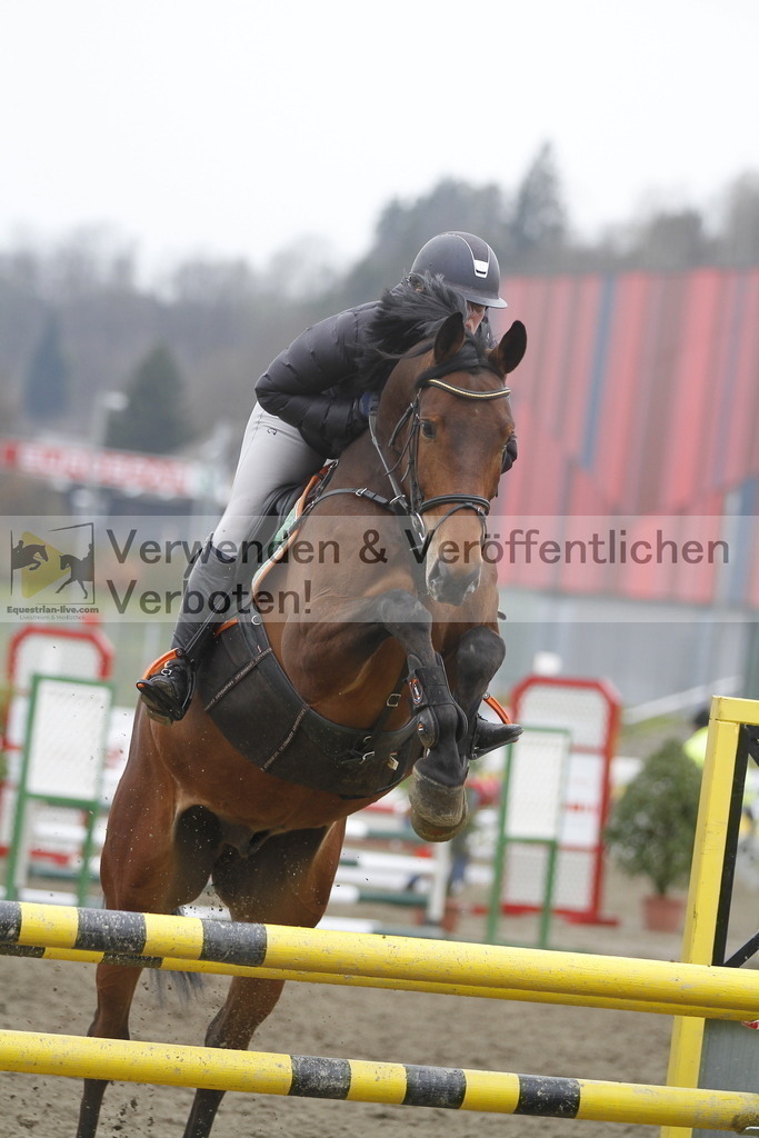 _MG_5172 | equestrian-live-com