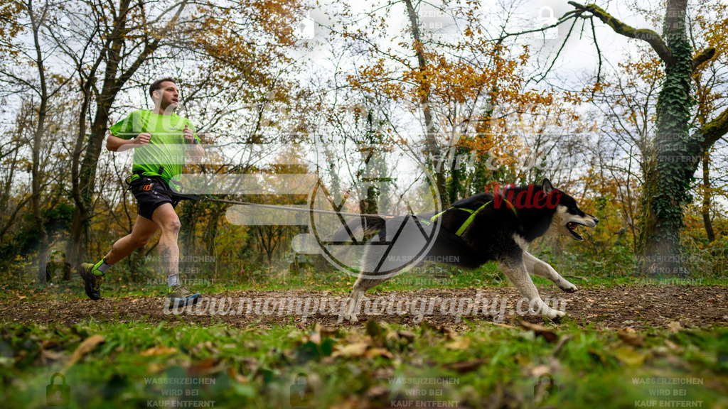 MompixPhotography_Bischwiller24_DI_CoursedeRelais-104 | PayLife
