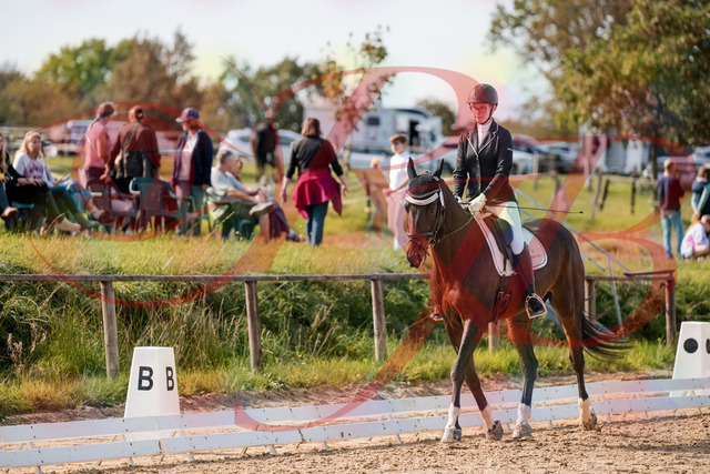 2026_10_03_Siefer-Hof_132134_Z63_83230579 | Professionelle Reitsport-, Turnier- und Eventfotografie von Robert Broda. Galerien mit ausgewählten und bearbeiteten Bildern direkt online ansehen und bestellen.