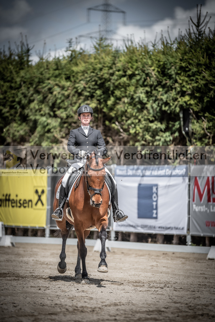 DSC_2356 | equestrian-live-com