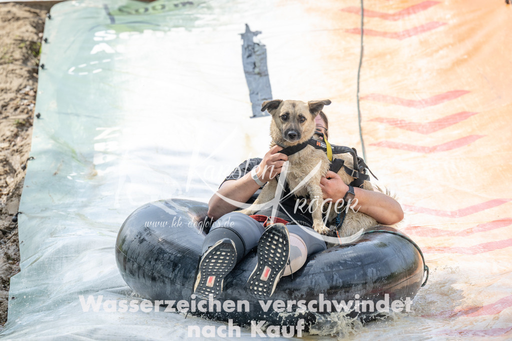 1159_ZZ97101 | kk-dogfotos