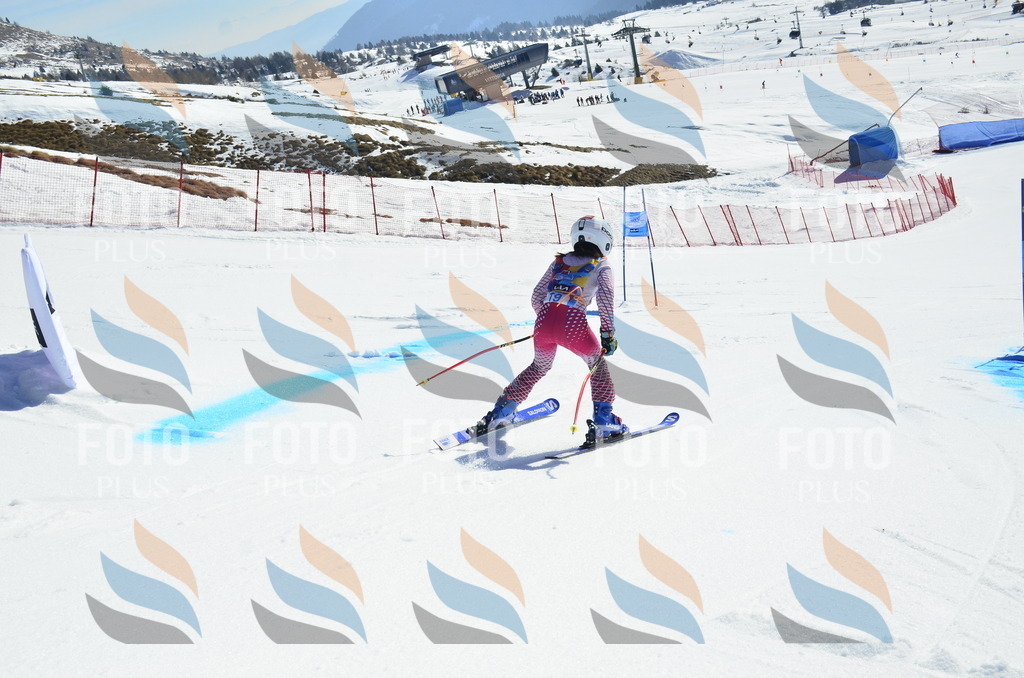 _ELE9876 | holidayphoto