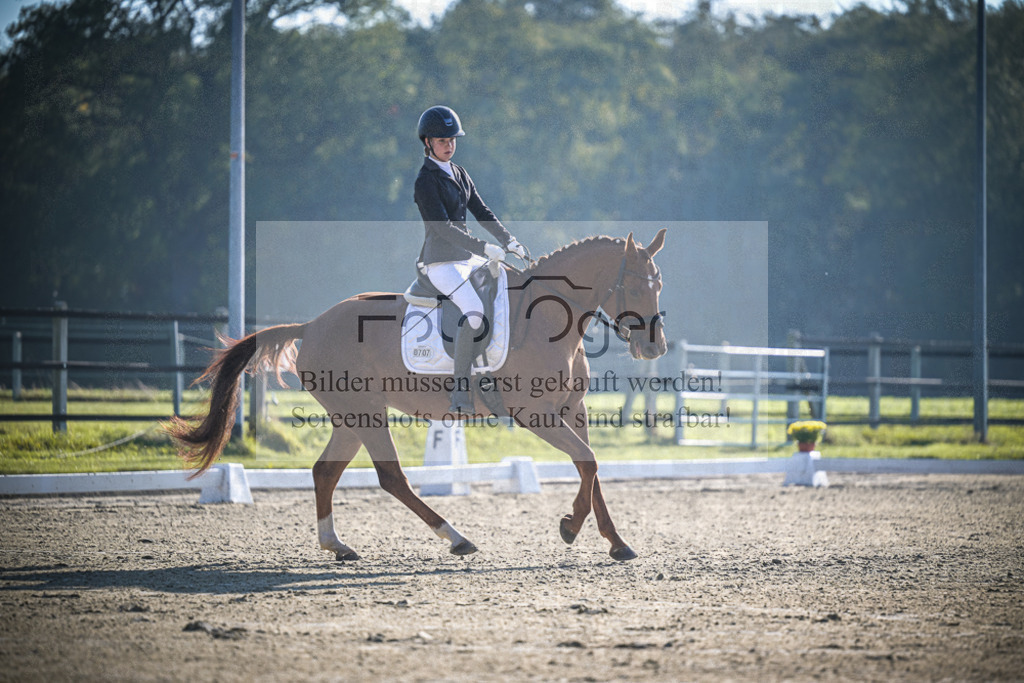 DOS_0872 | Entdecke hochwertige Reitturnierfotos von Foto Oger. Professionell, emotional und authentisch – jetzt Lieblingsmomente im Shop bestellen.Deutschlandweite Turnierfotografie. - Realisiert mit Pictrs.com