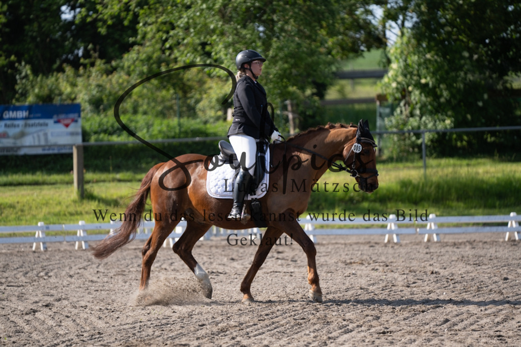 A7V02324 | Pferdefotograf