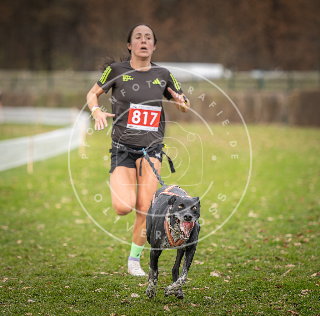 CaniXpix_DV3A6369 | Hundefotografie, Tierfotograf, Pfotenfotografie, Fotoshooting Hund, Hunde Portrait, Hundesport, Hundeportraits, Heideshooting, Hunde, Sportfotograf, Hundefotograf, Turnierhundsport, THS,  - Realisiert mit Pictrs.com