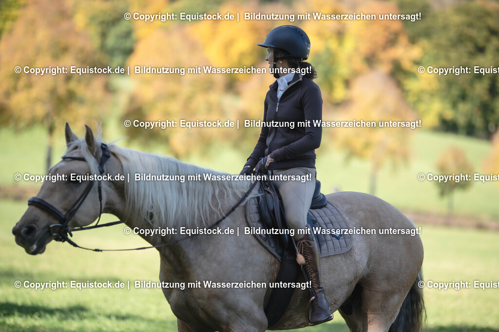 20251011_Jagd-Marbach_0442 | Foto: Thomas Hartig