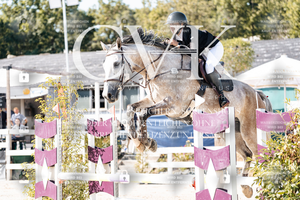 CK907646 | Turnierfotografie Pferdefotografie Trier Rheinland-Pfalz Pferdesport Reitsport Tierfotografie Sportfotografie Pferdevideo Pferdevideografie Equestrianvideography equestrianphotography  - Realisiert mit Pictrs.com