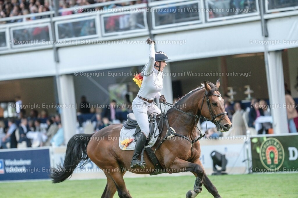 20230526_Pferdenacht_0504 | equistock
