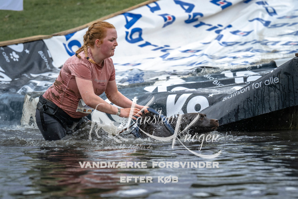 1528_ZZ95052 | kk-dogfotos