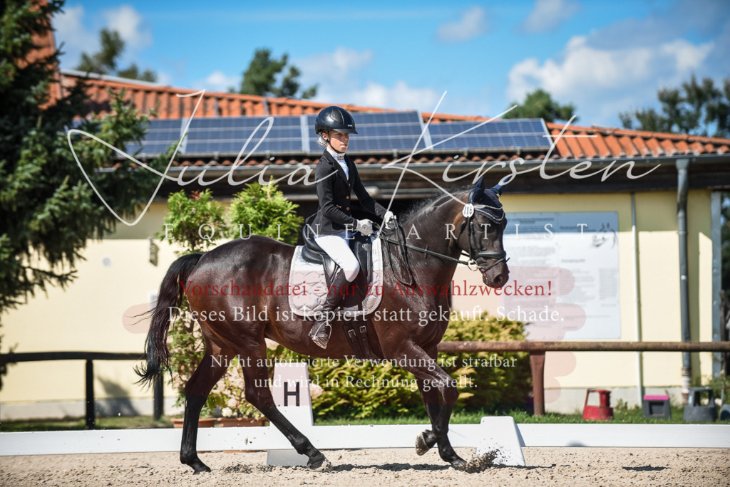 DSC_9562 | Pferde- und Turnierfotografie in Westsachsen. Pferdeportraits, Auftragszeichnungen und intuitive Kunst.