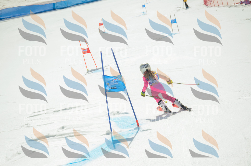 _ELE4794 | holidayphoto