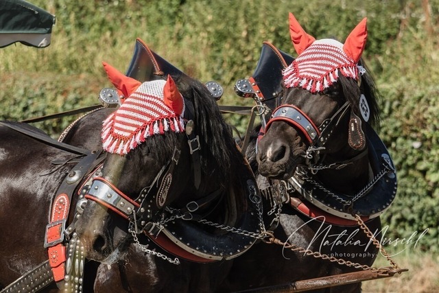 7V6A1863 | natalia-nirschl-photography