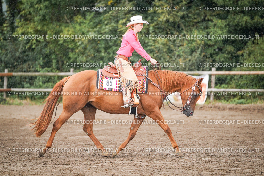 DSC07910 | Pferdegrafie