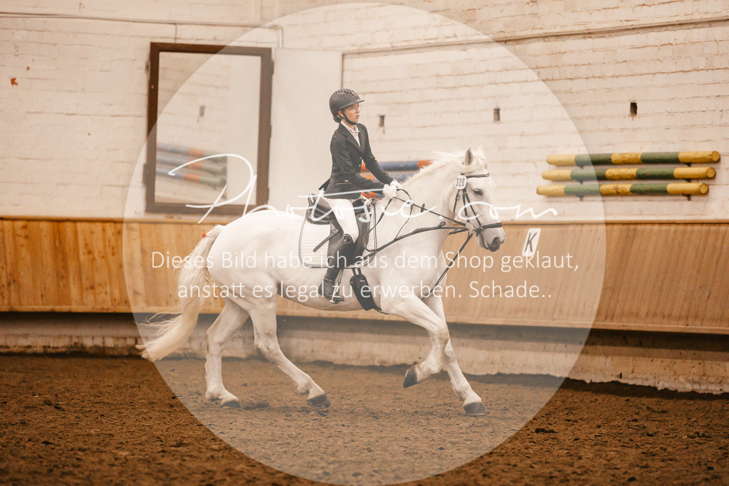 3I6A6285 | Stimmungsvolle Portraits und Reitsportfotografie im Ruhrgebiet und im Münsterland.

Pferdefotografie, Hundefotografie, Tierfotografie, Reportagen, Portraits von Tier und Mensch, Turnierfotografie in Bochum, Recklinghausen, Marl, Haltern am See, Dülmen.. - Realisiert mit Pictrs.com