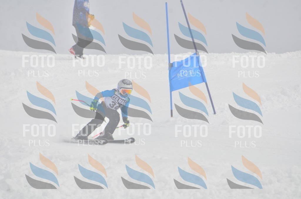 A5266 | holidayphoto