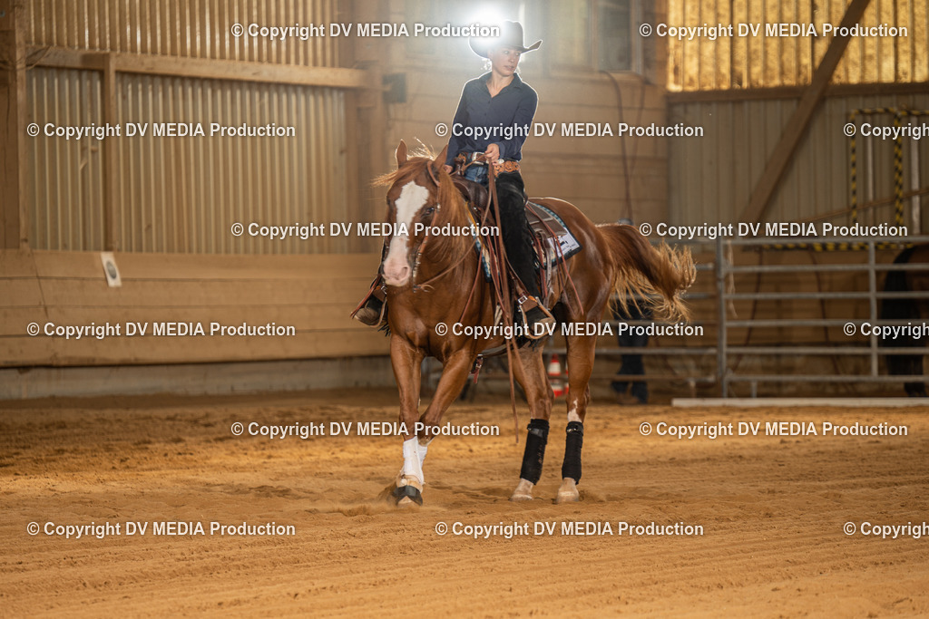 NID02155 | dv-media-shop - Realisiert mit Pictrs.com