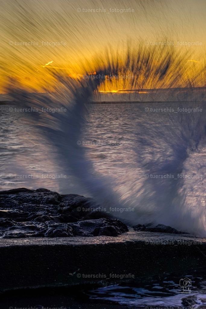 _DSC6702-01 | tuerschis_fotografie - Realisiert mit Pictrs.com