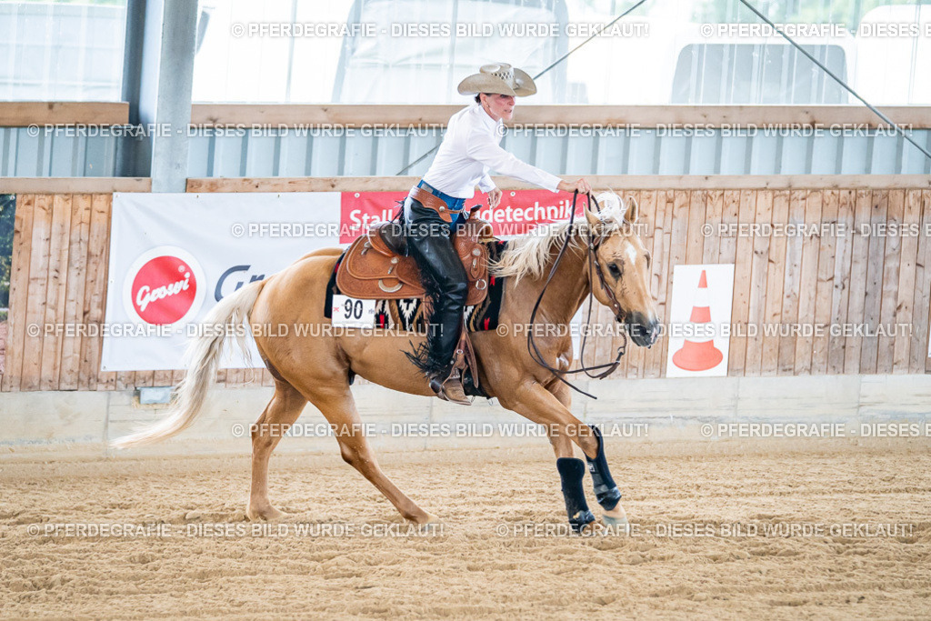 DSC05917 | Pferdegrafie