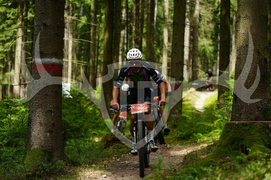 FC100278 | Fotogalerie der Treibjagd im Dunkelwald - Dein MTB Etappenrennen im Erzgebirge - Realisiert mit Pictrs.com