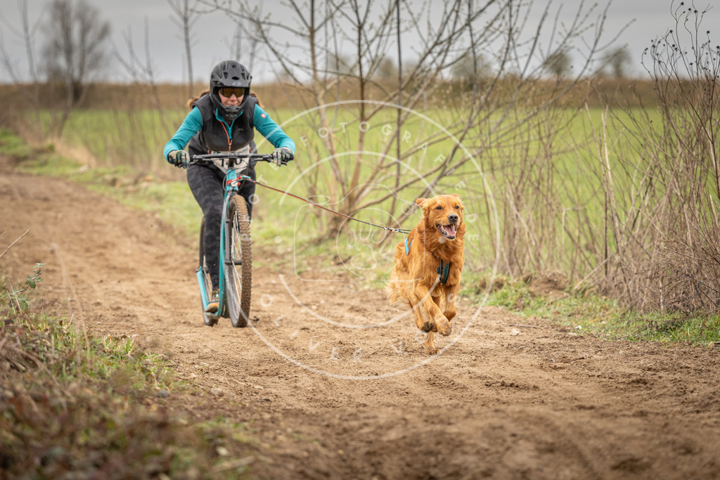 DV3A1453 | Hundefotografie, Tierfotograf, Pfotenfotografie, Fotoshooting Hund, Hunde Portrait, Hundesport, Hundeportraits, Heideshooting, Hunde, Sportfotograf, Hundefotograf, Turnierhundsport, THS,  - Realisiert mit Pictrs.com
