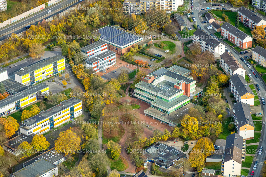 Hagen251101658 | Luftbild, Gymnasium Hohenlimburg Schule und Sporthalle Wiesenstraße, herbstliche Bäume, Hohenlimburg, Hagen, Ruhrgebiet, Nordrhein-Westfalen, Deutschland