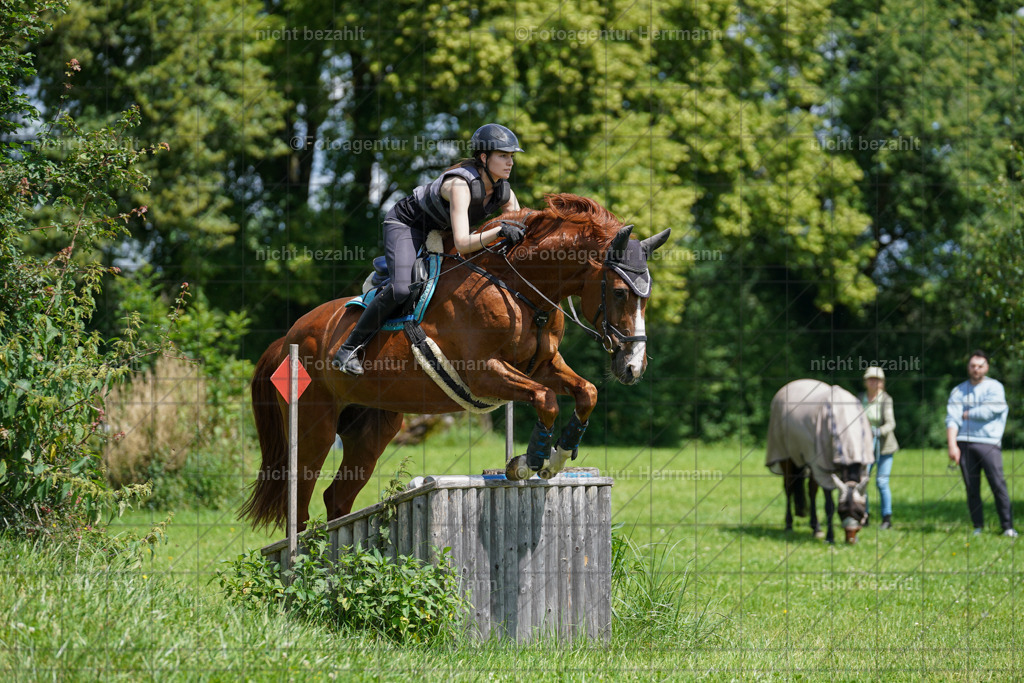 20240622-FAH06795 | Turnierfotografen Bayern, Reitsportbilder aus dem Geländekurs mit Felix Etzel auf dem Gut Waitzacker 2024