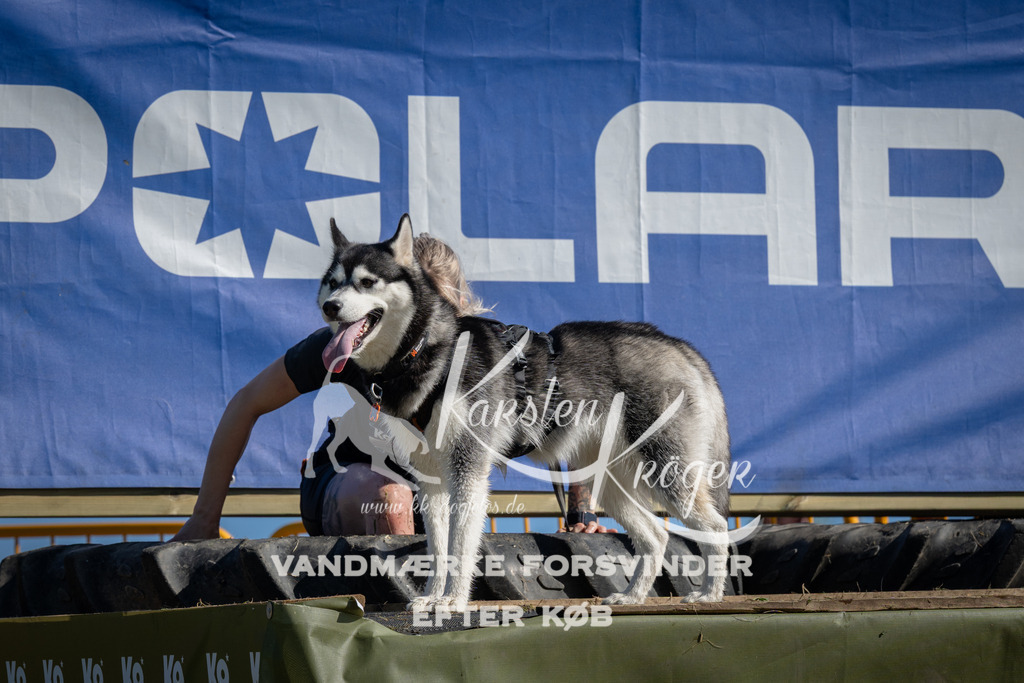 1022_ZZ98330 | kk-dogfotos