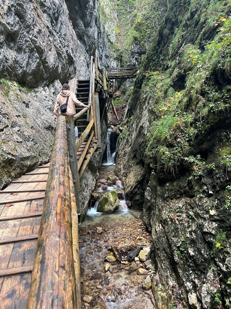 IMG_8614 | ace - Realisiert mit Pictrs.com