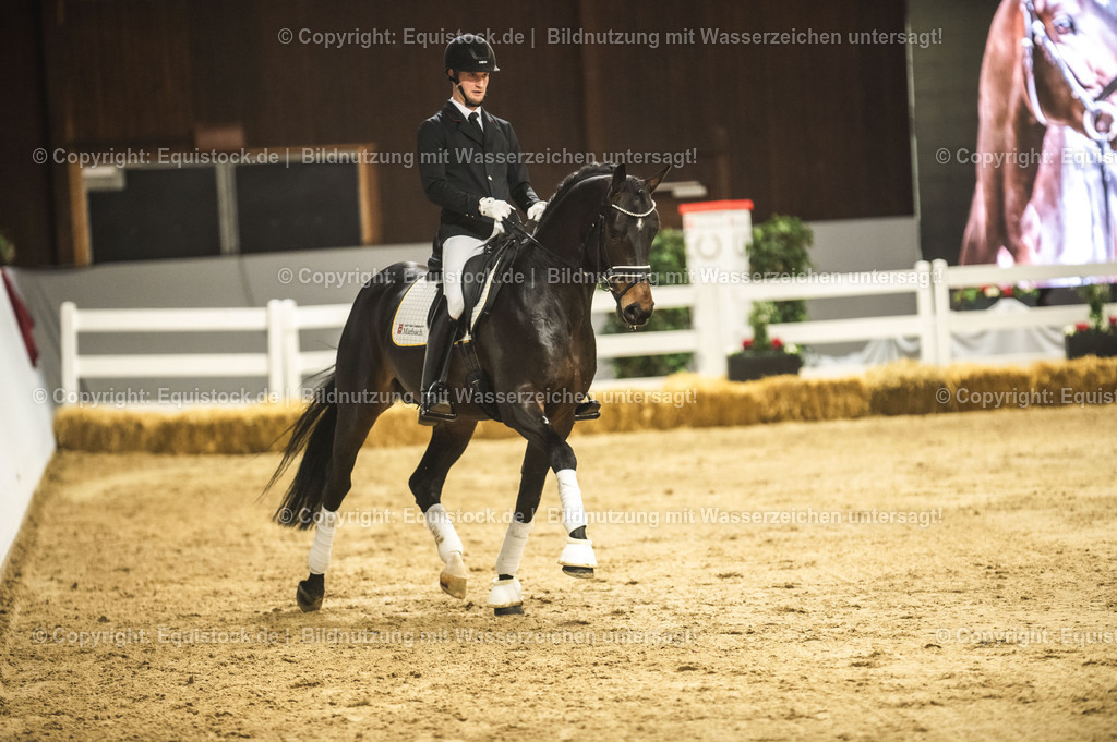 20240302_Hengstvorstellung_Marbach_TOMsPiC_0424 | equistock