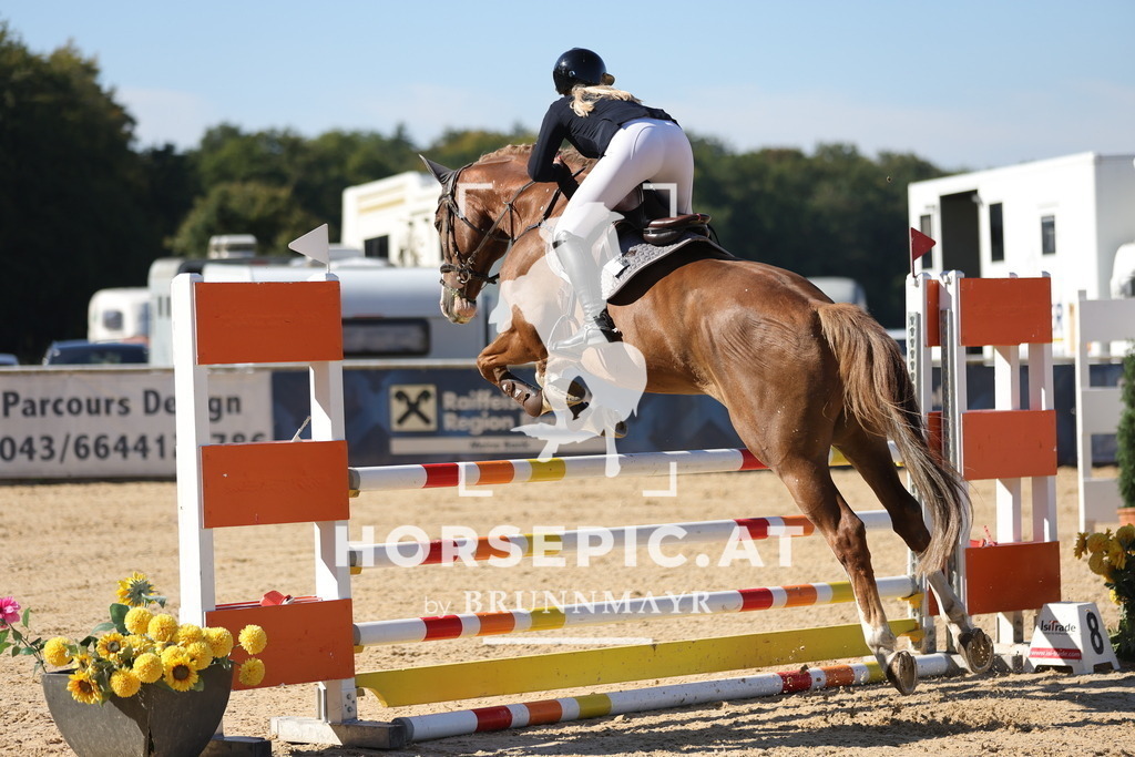 0P6A0342 | Willkommen bei Brunnmayr - Design & Fotografie – Ihrem Spezialisten für Reitturniere und Pferdeveranstaltungen in Oberösterreich, Salzburg und Bayern! Seit über 17 Jahren sind wir leidenschaftlich dabei.