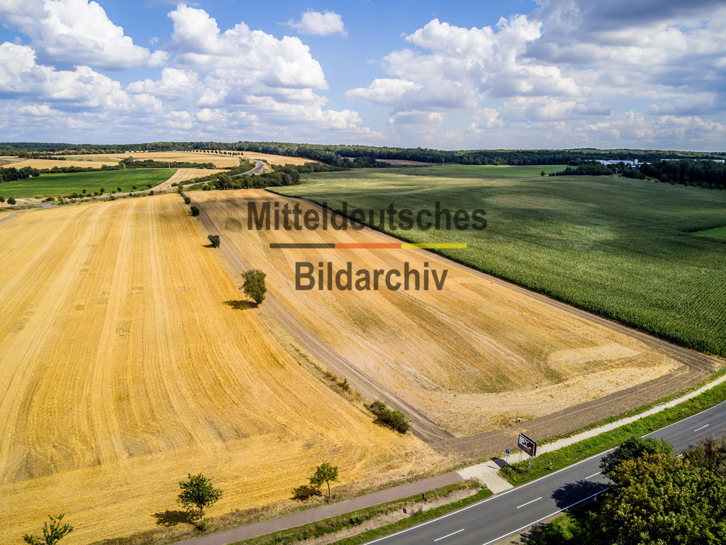 innerdeutsche Grenze Grünes Band bei Lappwaldsee-0008 | Die innerdeutsche deutsch-deutsche Grenze, das Grüne Band - Realisiert mit Pictrs.com