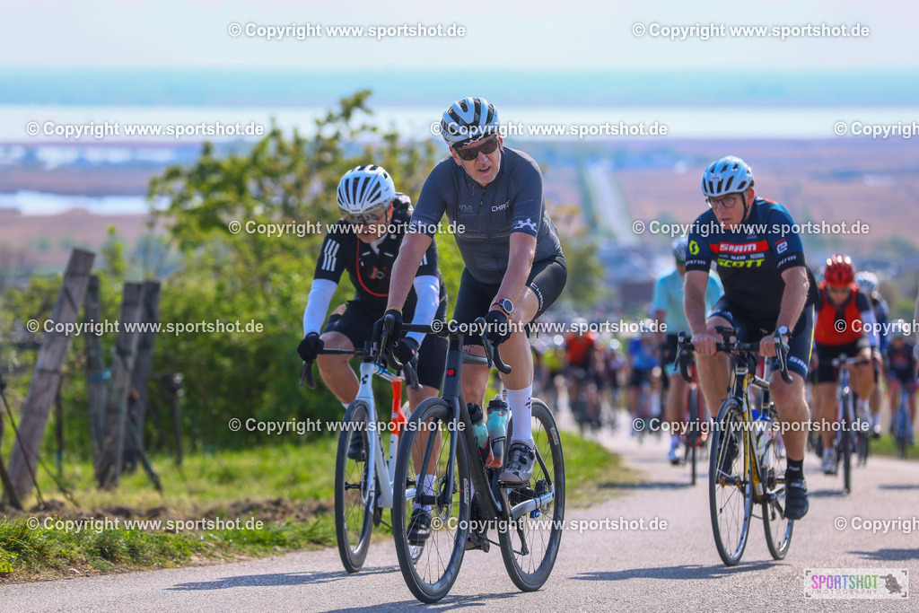 TRA_1039 | Neusiedlersee Radmarathon 2026@sportshot_your_pictrs #yourpictures#roadtowm2029 #nrm #neusiedlerseeradmarathon #neusiedlersee #neusiedlerseetourismus #burgenland #mörbisch #nrm26 #burgenlandtourismus #voglundco #poweredbyburgenlandtourismus #radsport #rad #marathon #ucigranfondo #visitburgenland #ucigranfondoworldseries
