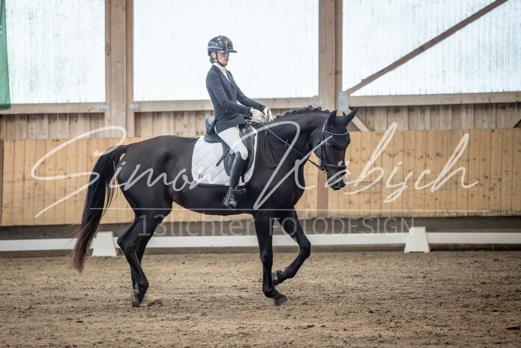 20251011-_3LI6238 | Tierfotografie Pferde, Hunde, Katzen, Haustiere.
Turnierfotografie Reitturniere, Reiten, Springreiten, Dressur in Hanau, dem Main-Kinzig-Kreis und dem Rhein-Main- Gebiet um Frankfurt