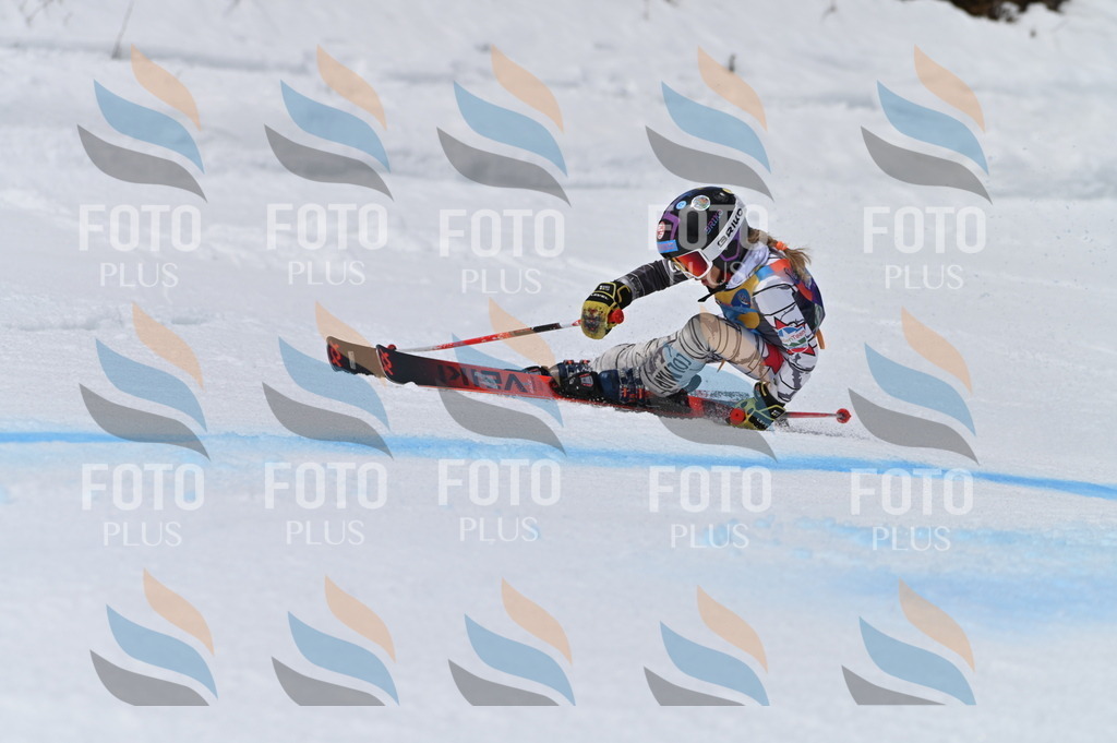 BGV_5102 | holidayphoto