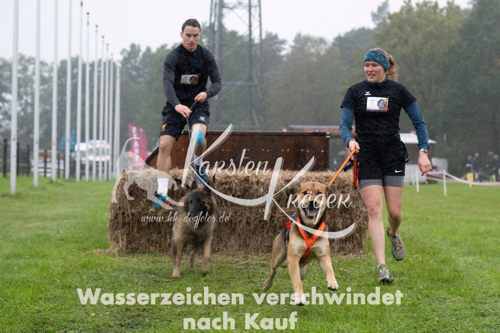 0945-_ZZ94638-Bearbeitet | kk-dogfotos
