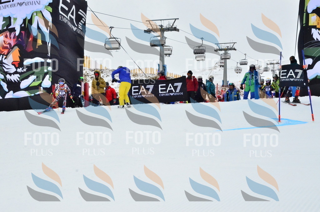 _ELE3242 | holidayphoto