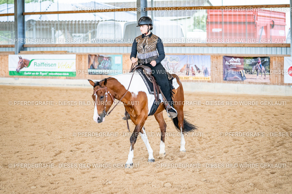 DSC02433 | Pferdegrafie