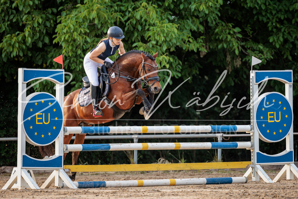 20260529-_3LI1907 | Tierfotografie Pferde, Hunde, Katzen, Haustiere.
Turnierfotografie Reitturniere, Reiten, Springreiten, Dressur in Hanau, dem Main-Kinzig-Kreis und dem Rhein-Main- Gebiet um Frankfurt