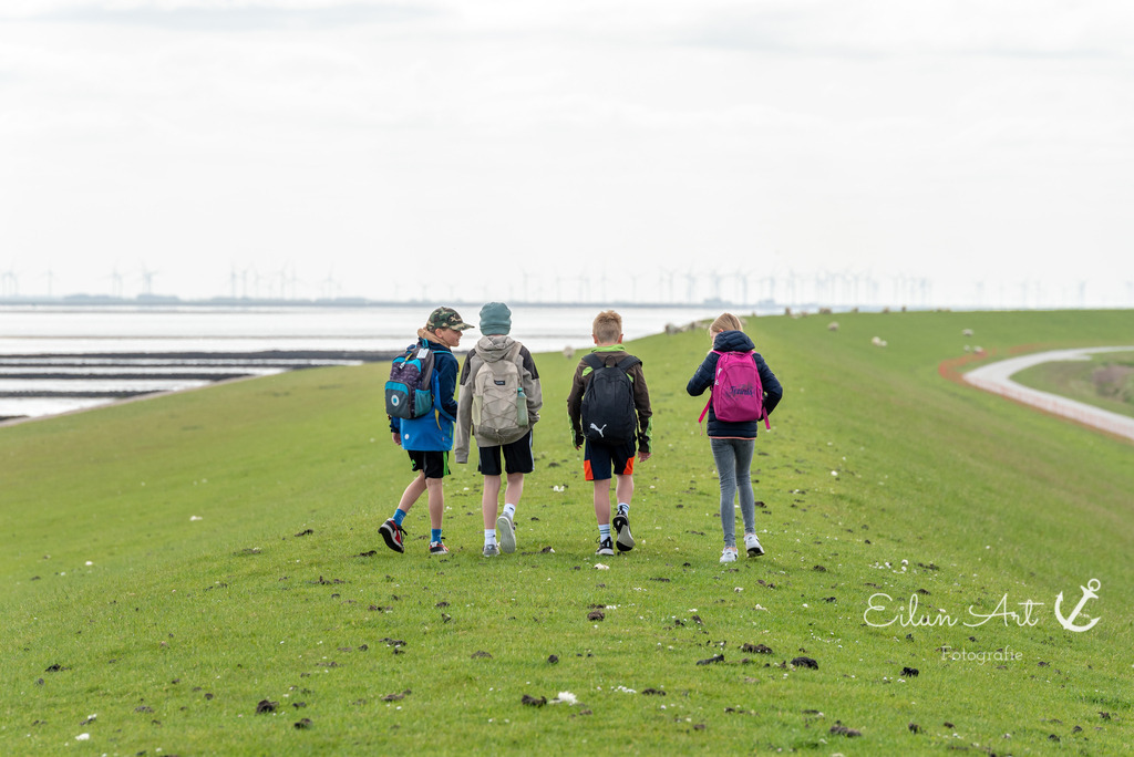 EAF_1149 | Eilun-Art-Fotografie Levke Martens, ihre Fotografin für Immobilien- und Landschaftsfotografie auf Föhr, Föhrer Motive als Poster, Leinwand, hinter Acrylglas oder stelle dir deinen eigenen Monatskalender zusammen, mit nur einem Klick