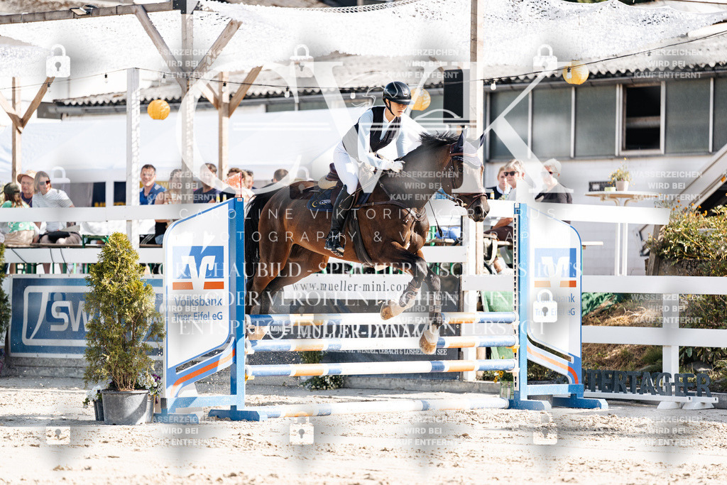 CK909273 | Turnierfotografie Pferdefotografie Trier Rheinland-Pfalz Pferdesport Reitsport Tierfotografie Sportfotografie Pferdevideo Pferdevideografie Equestrianvideography equestrianphotography  - Realisiert mit Pictrs.com