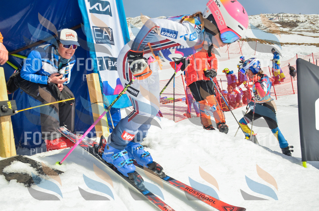 _ELE4757 | holidayphoto