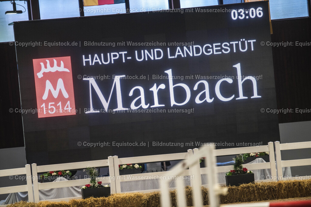 20240302_Hengstvorstellung_Marbach_TOMsPiC_0064 | equistock
