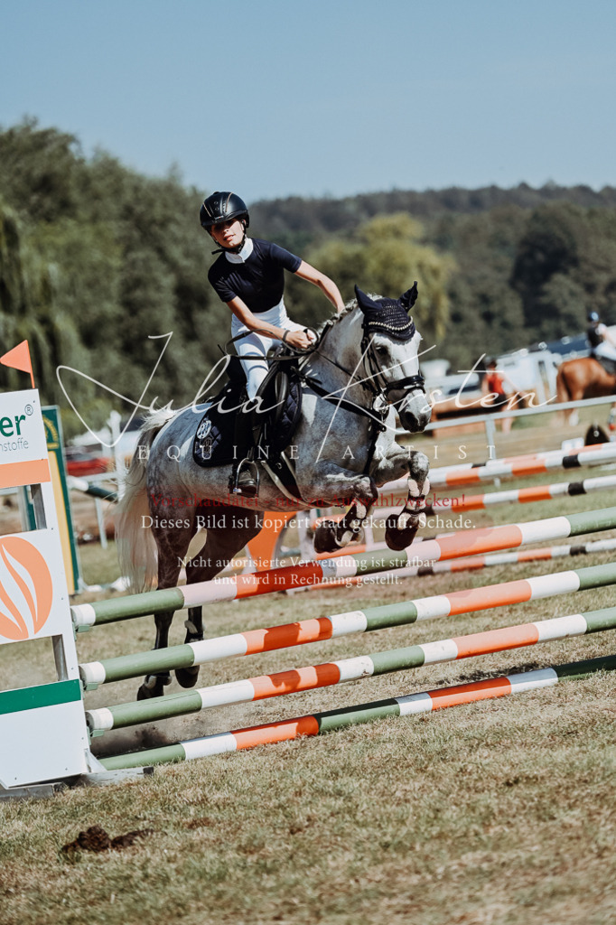 DSC_0031 | Pferde- und Turnierfotografie in Westsachsen. Pferdeportraits, Auftragszeichnungen und intuitive Kunst.